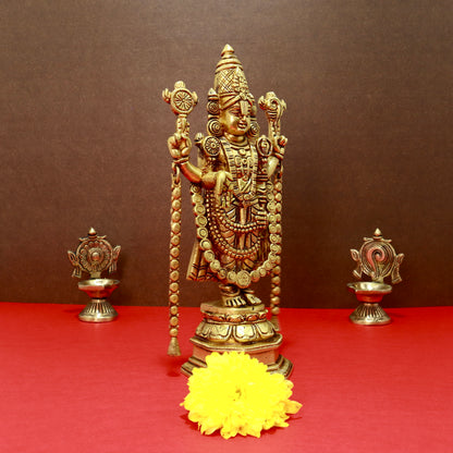 Standing Balaji