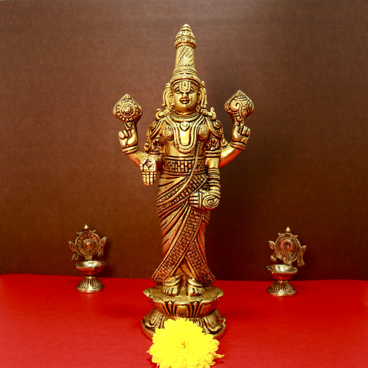 Balaji standing on lotus